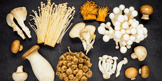 Promising research into the benefits of medicinal mushrooms