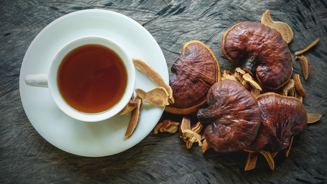 An Exploration of the Potential Benefits of Reishi Mushrooms