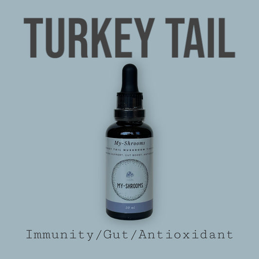 Turkey Tail Tincture (50ml)