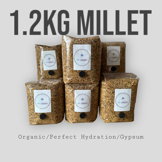 Millet Spawn Bags 1.2kg