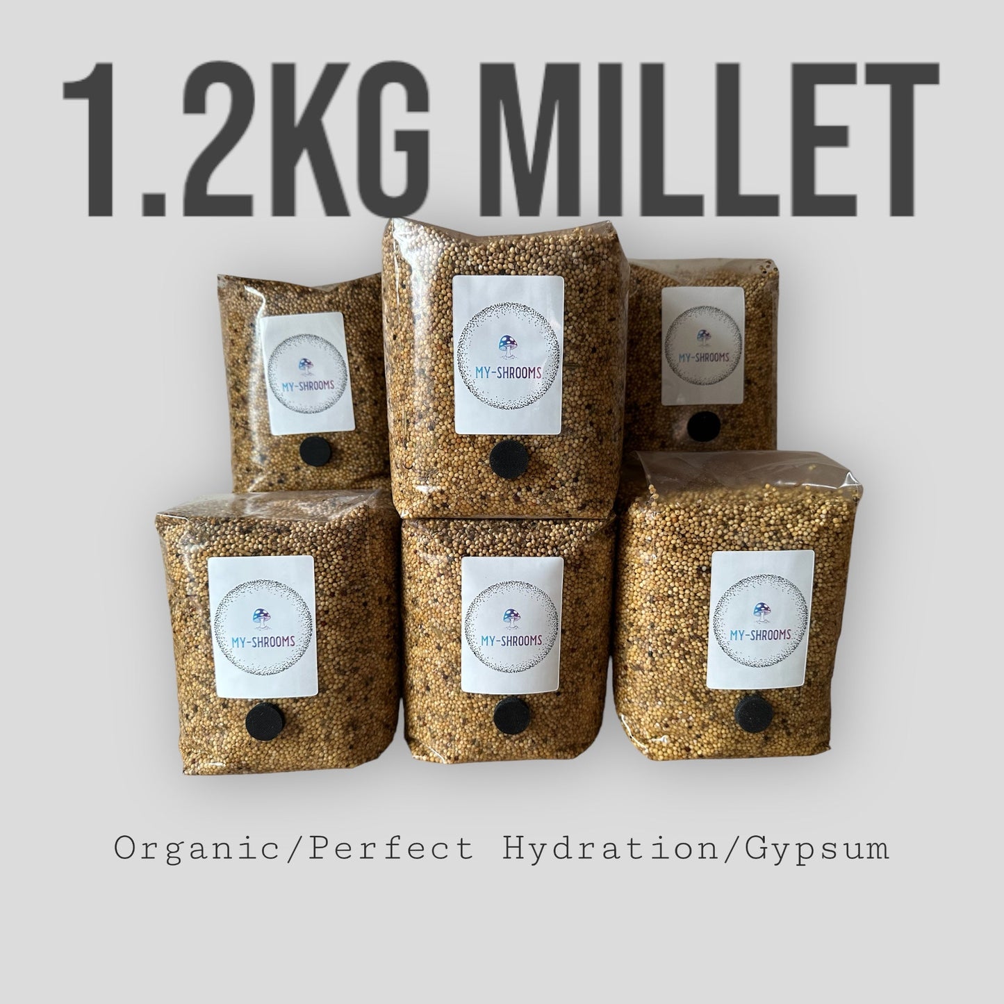 6 x Millet Spawn Bags 1.2kg